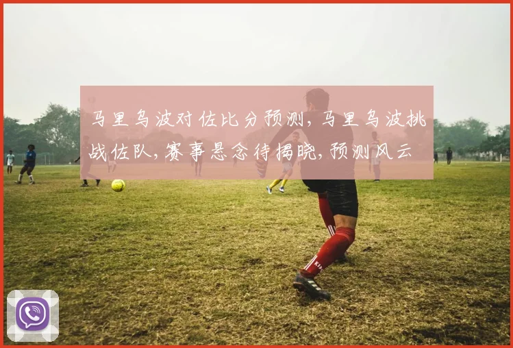 马里乌波对佐比分预测,马里乌波挑战佐队,赛事悬念待揭晓,预测风云再起,谁能笑到最后