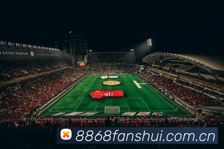 未来规划